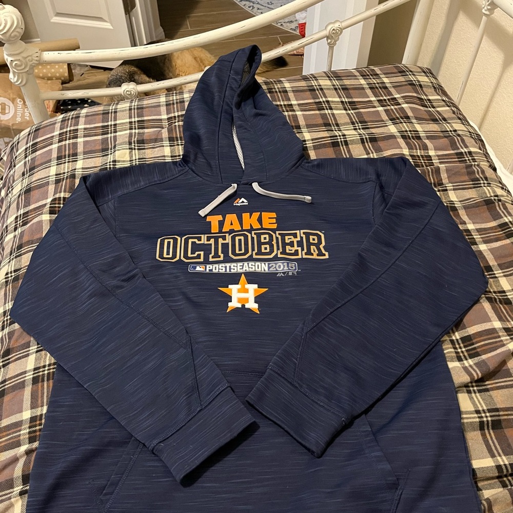 Houston Astros hoodie. 2015 post season.